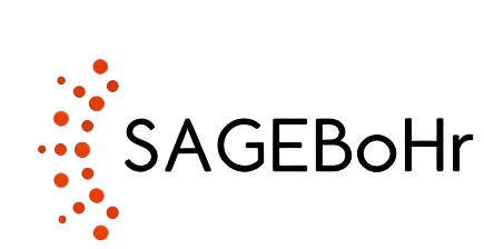 SAGEBoHr 先制波程
